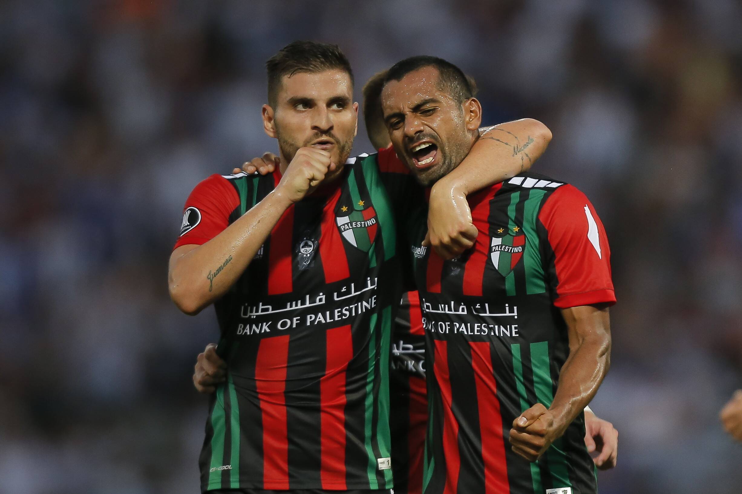 24c000ff-palestino-afp.jpg