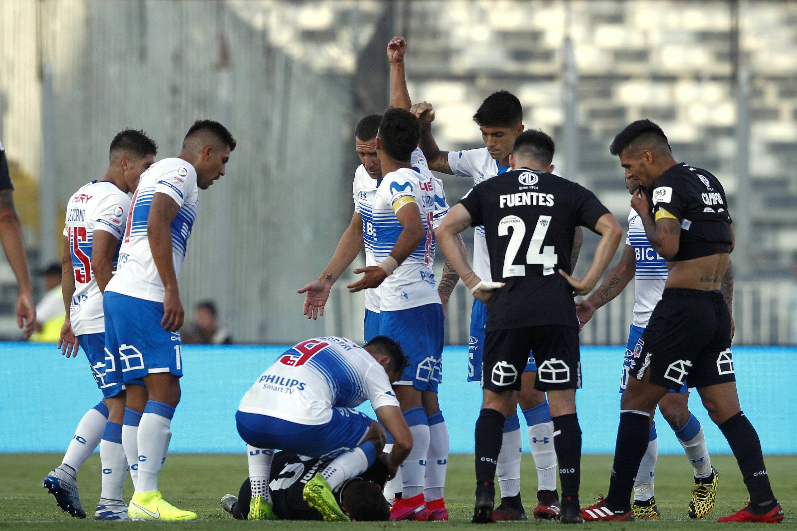 8fb206a5-foto-colo-colo-scaled.jpg